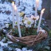 Imbolc 1.8