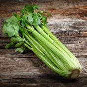 Kitchen Witch: Celery