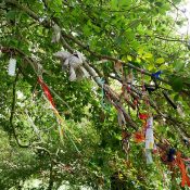 Things To Do at Beltane, Dress a tree