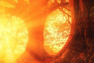 Harnessing the Power of the Sun in Witchcraft Practice