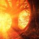 Harnessing the Power of the Sun in Witchcraft Practice