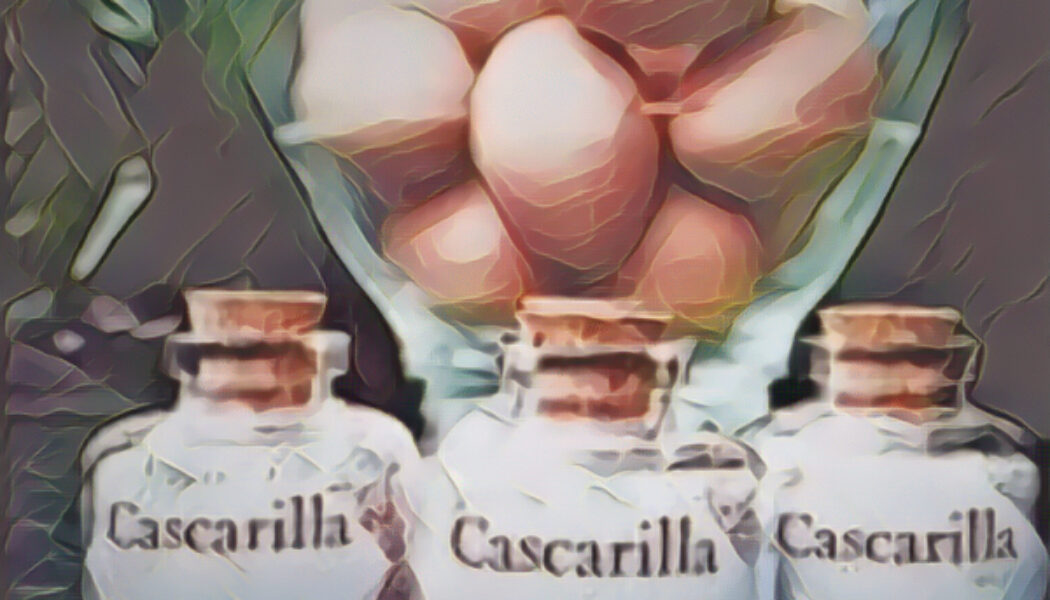 Cascarilla Powder