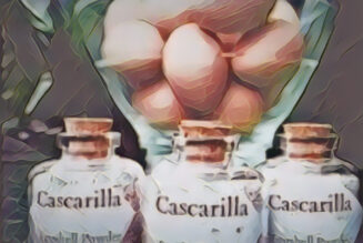 Cascarilla Powder