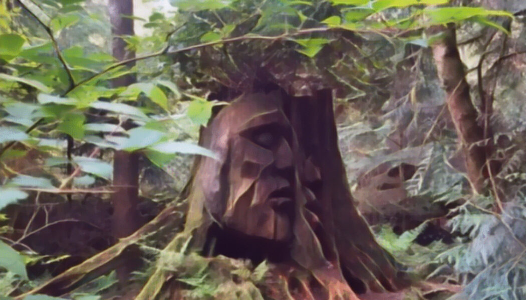 Earth-Centered Spirituality