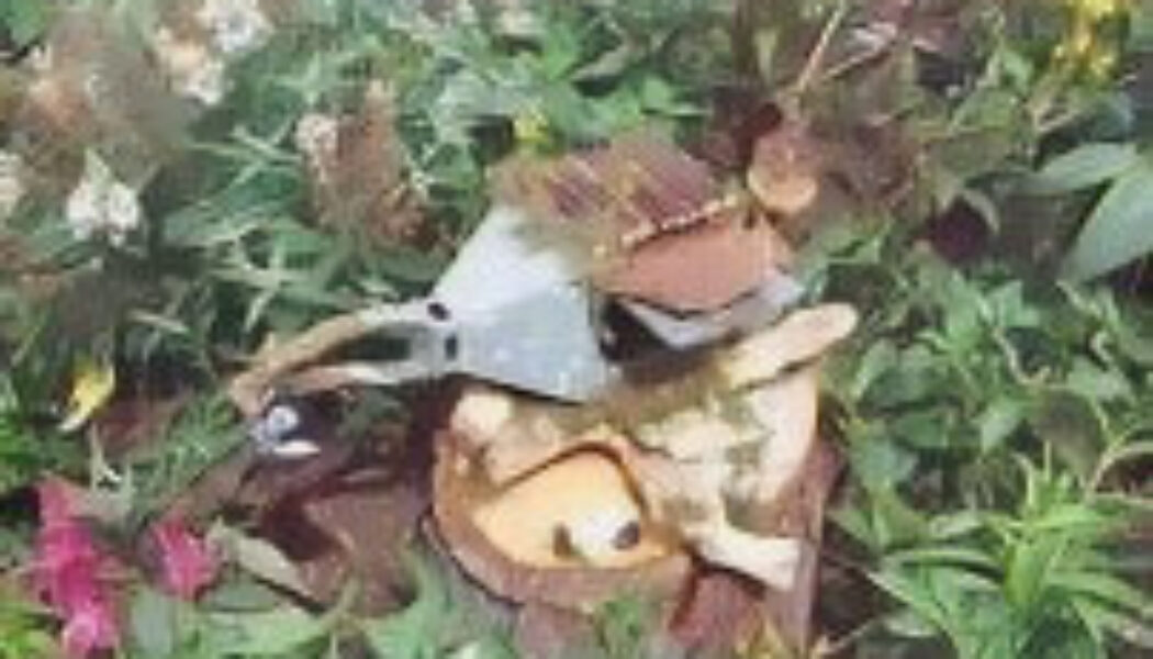 Hedgewitch Primal Language Exercise