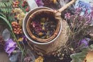 Herbs for Magical Intention