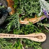 Kitchen Herbs for Witches