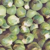 Kitchen Witch: Brussels Sprouts