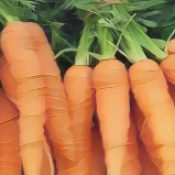 Kitchen Witch: Carrot