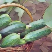 Kitchen Witch: Cucumber