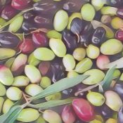 Kitchen Witch: Olive