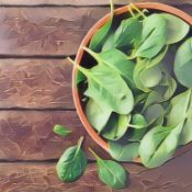 Kitchen Witch: Spinach