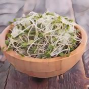 Kitchen Witch: Sprouts