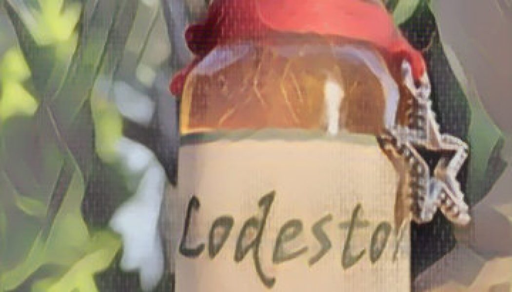 Magnetic Oil Charged Water