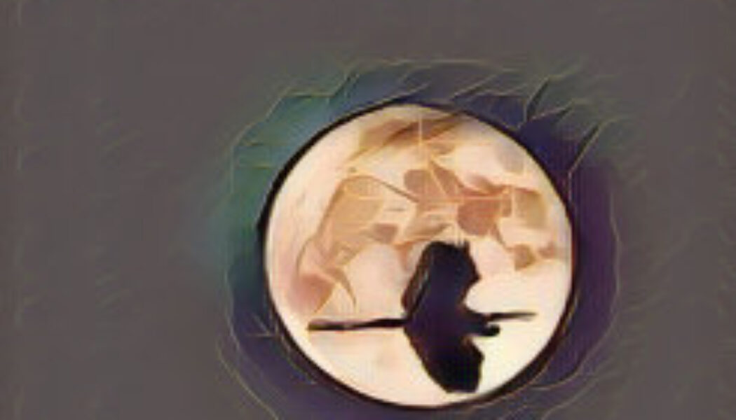 NATURAL CONNECTIONS OF THE MOON