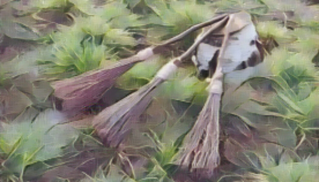 The Broom in Witchcraft