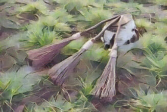 The Broom in Witchcraft