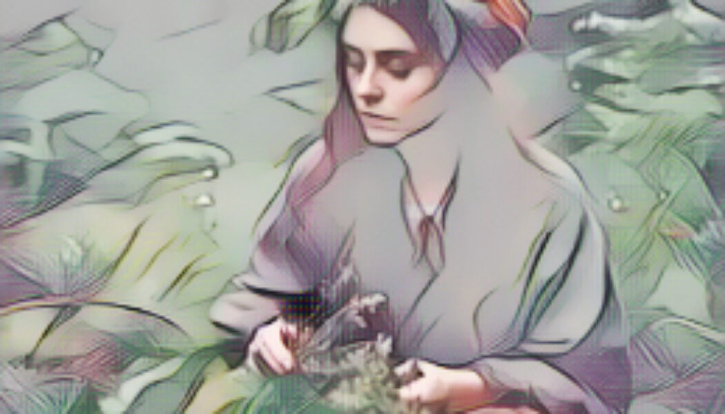 The Hedge Craft – The Celestial