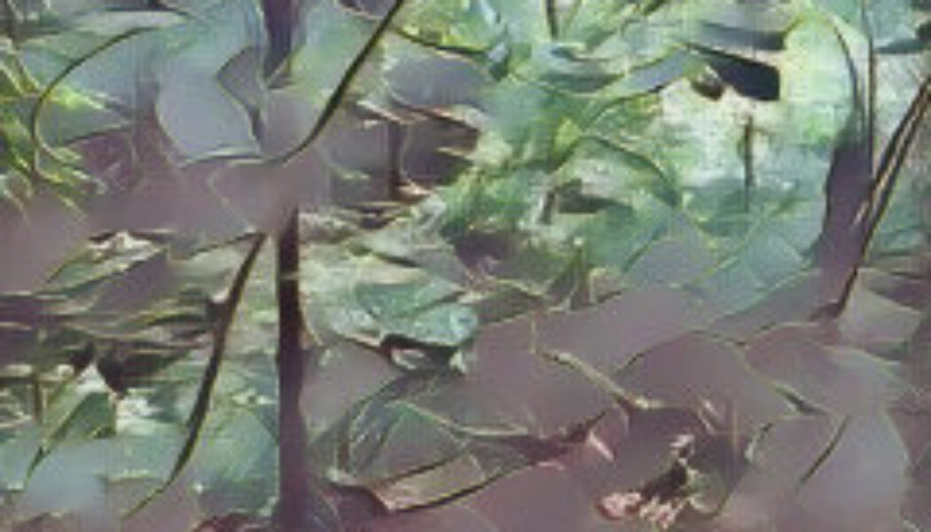 The Hedge – The Three Worlds and the World Tree