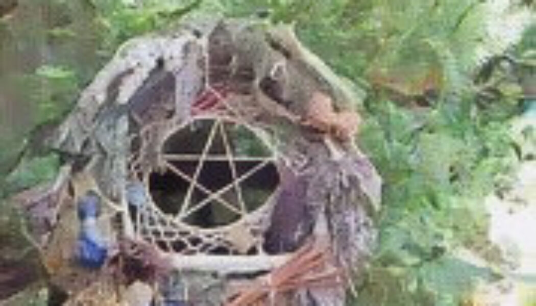 The Hedge – The World of the Hedge Craft