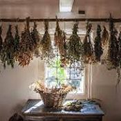 The Magick Of Herbs In the Kitchen