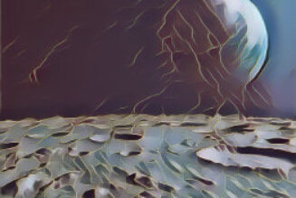 THE LUNAR METEOROLOGIST