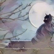 Black Cat Protection Spell