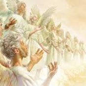 Different classes of angels