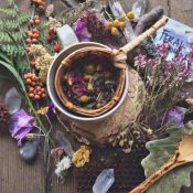 Introduction to Aromatherapy