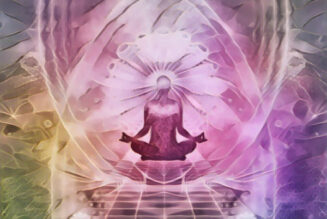 Mindfulness Oil Blend