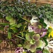 Funeral Herbs