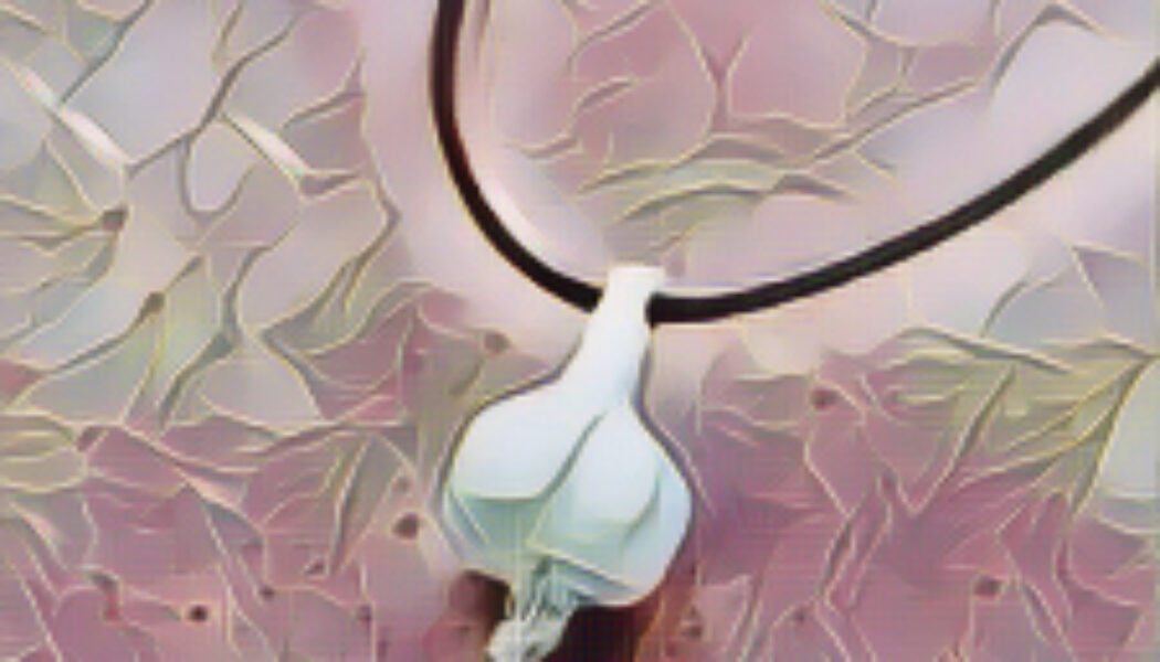 GARLIC PROTECTION CHARM