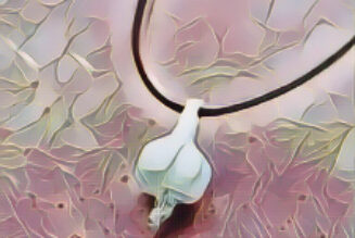 GARLIC PROTECTION CHARM