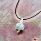 GARLIC PROTECTION CHARM