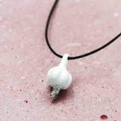 GARLIC PROTECTION CHARM