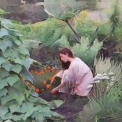 Garden of Thanksgiving