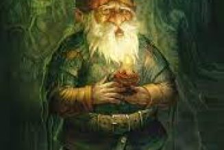Gnome in the Fairy Realm