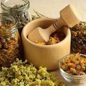 Herbs Used in Hair Care