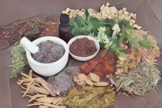 Healing Herbs For Anxiety & Stress