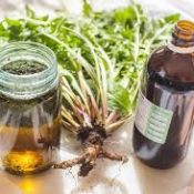 Herbs and the Minerals They Contain