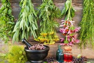 Herbs for Medical Symptom