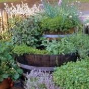 Magickal Herbal House Washes