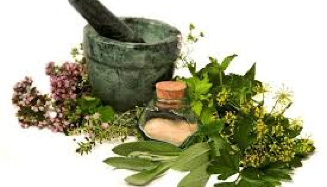 Sacred Herbs of the Saxons