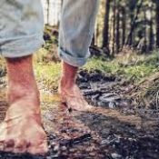 Soothing The Feet1    Tea tree foot and hand soak
