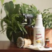 Spring Cleaning Recipes