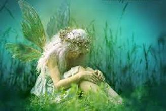 The Grass Fairy