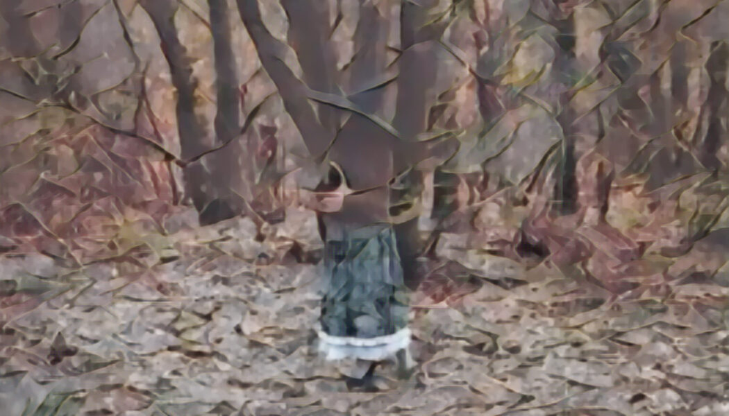 The Hedge – Physical Boundaries