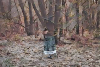 The Hedge – Physical Boundaries