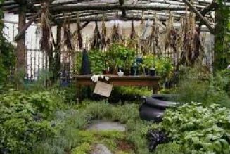 The Urban Herb Garden