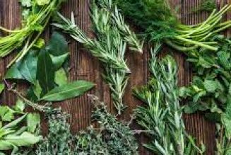 Herbs for Healing and Happiness